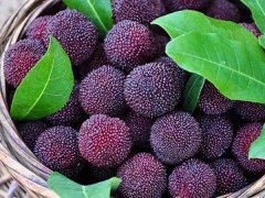 嘉弘塑料護(hù)目鏡專用PVC粒料，助力早日打贏疫情